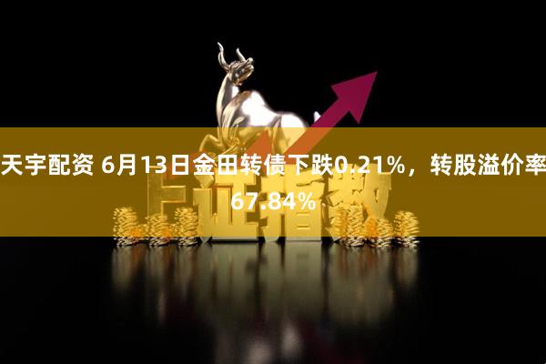 天宇配资 6月13日金田转债下跌0.21%，转股溢价率67.84%
